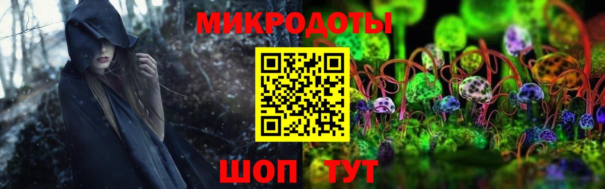 Галлюциногенные грибы Cubensis Мценск